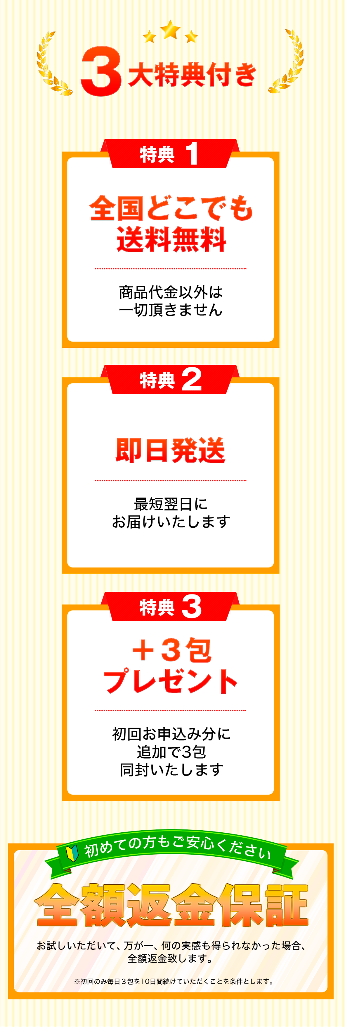 全国送料無料！即日発送！